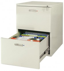 Tủ để file tài liệu 2 ngăn Nội thất 190 TK-2N