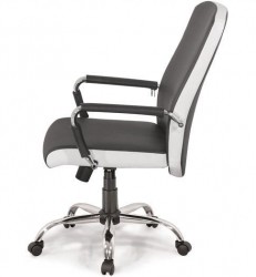 Ghế xoay văn phòng NT190 GX308-HK