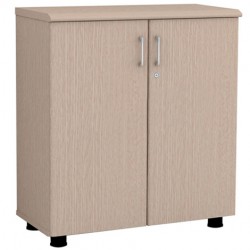 Tủ đựng hồ sơ văn phòng bằng gỗ NT880D