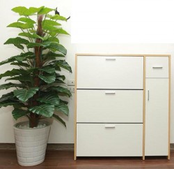 Tủ đựng giày dép thông minh TG43
