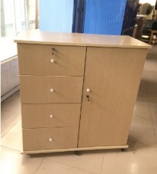 Tủ gỗ đựng quần áo trẻ em TQA14