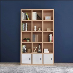 Kệ đựng sách văn phòng 5 tầng có ngăn tủ KG05