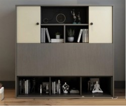 Tủ tài liệu văn phòng hiện đại sang trọng KG12