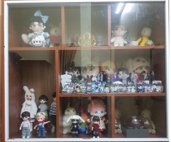 Kệ gỗ treo tường cánh kính lùa KTT25